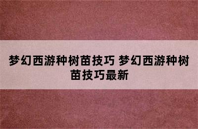 梦幻西游种树苗技巧 梦幻西游种树苗技巧最新